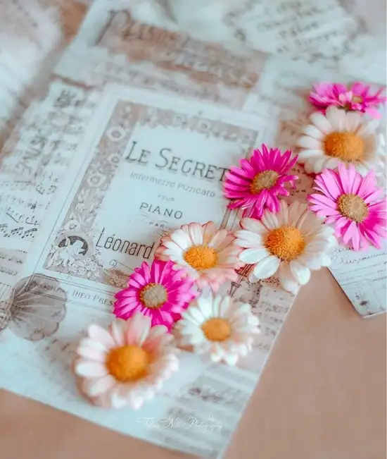 haft (12).webp