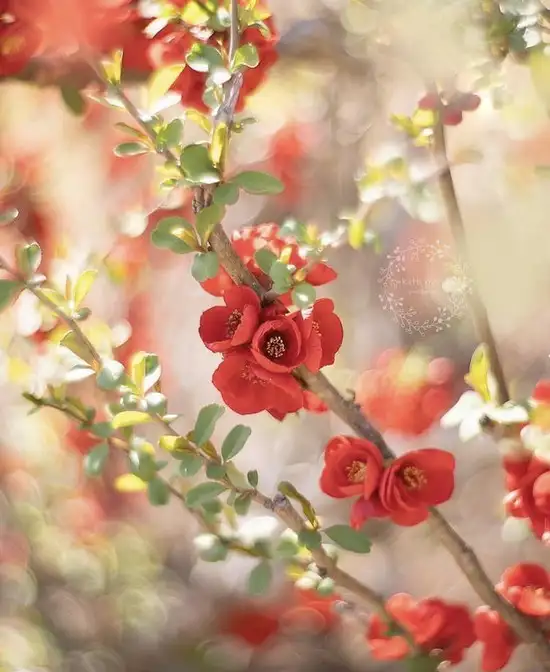 haft (17).webp