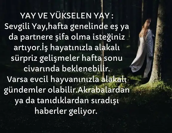 haft 2 (10).webp