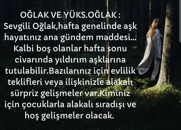 haft 2 (11).webp