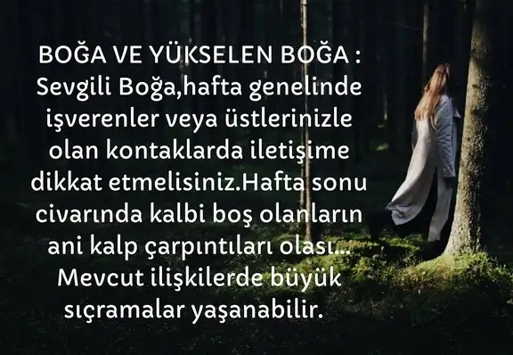 haft 2 (3).webp