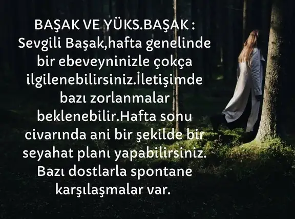 haft 2 (7).webp