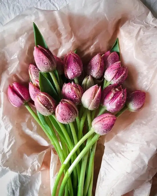 haft (7).webp