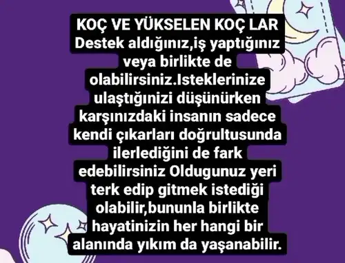 haft aysun yazar (1).webp