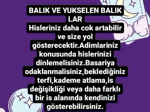 haft aysun yazar (12).webp
