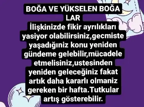 haft aysun yazar (2).webp