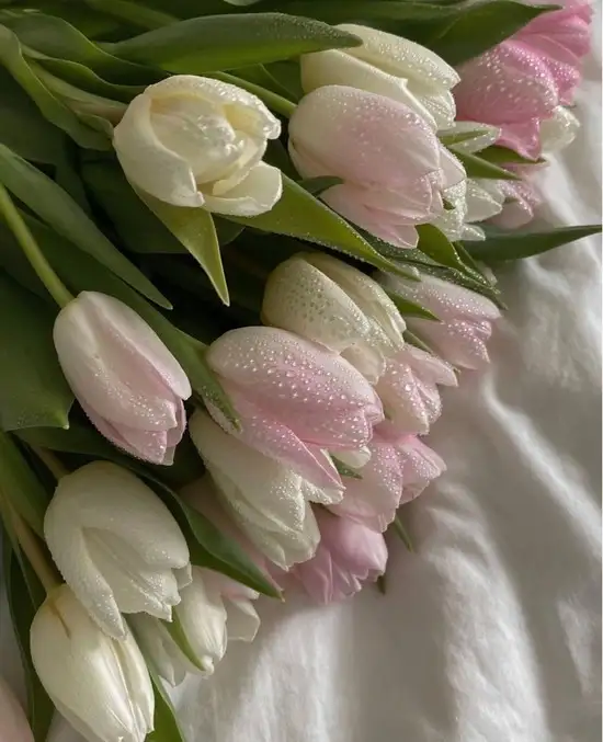 haft çiçek (1).webp