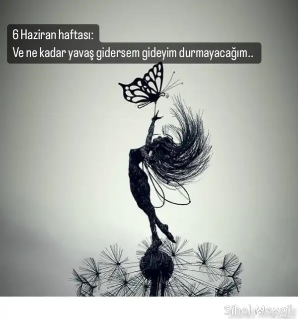 haft0 (1).webp