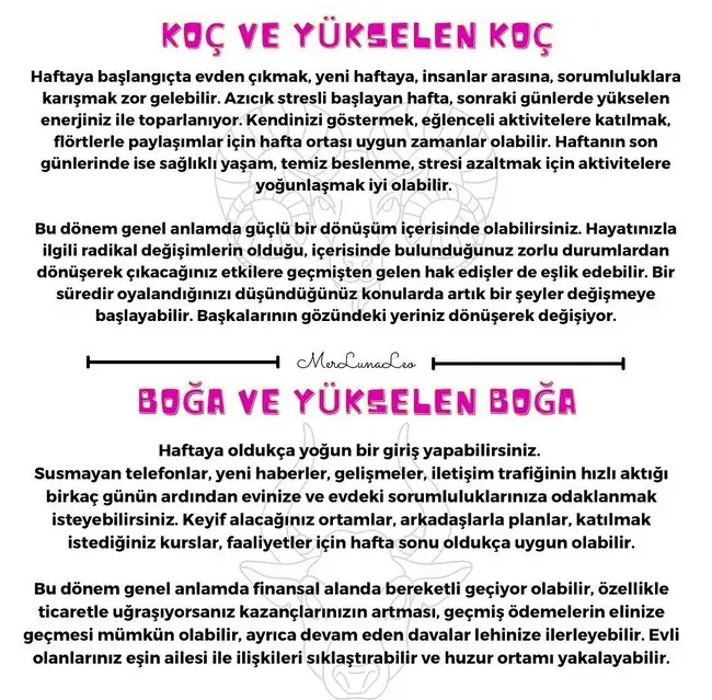 haft1 (2).webp