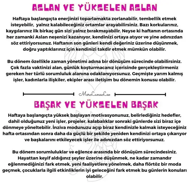 haft1 (4).webp