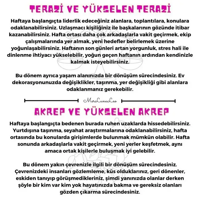haft1 (5).webp