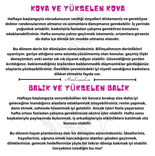 haft1 (7).webp