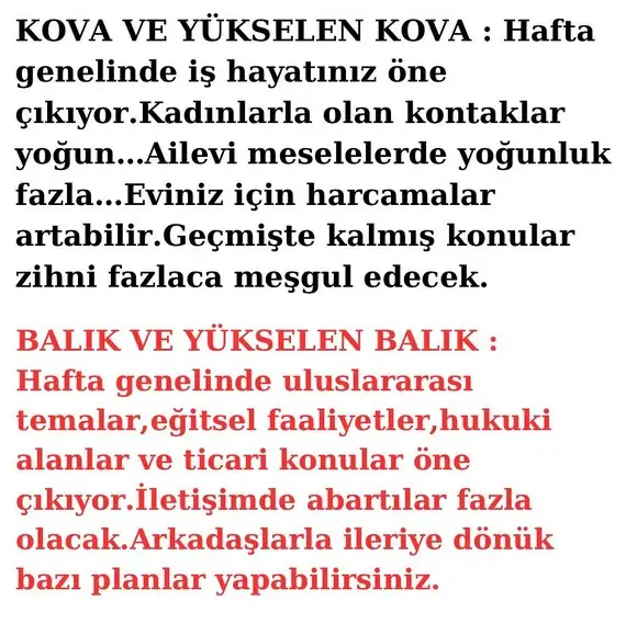 haft1 (7).webp