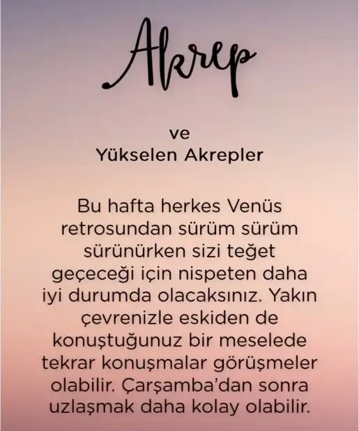 haft1 (9).webp