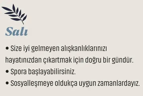 haft15 (2).webp