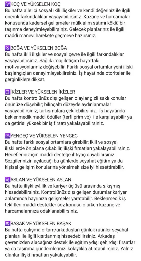 haft17 (2).webp