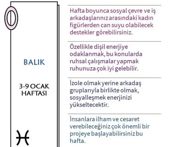 haft2 (13).webp