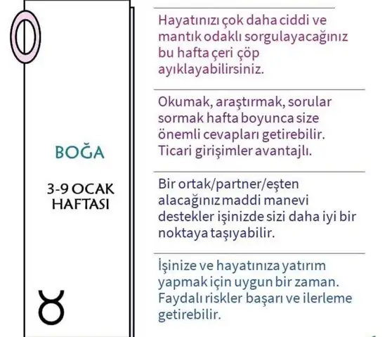 haft2 (3).webp