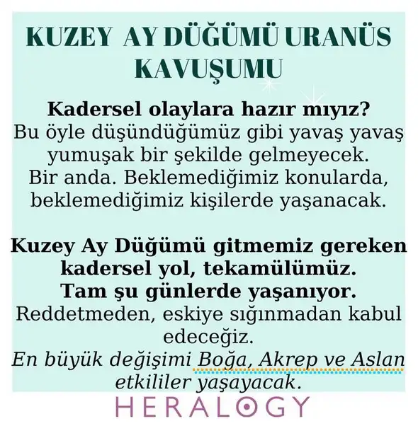 haft2.webp