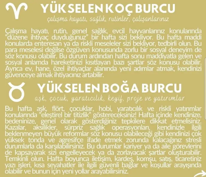 haft21 (2).webp
