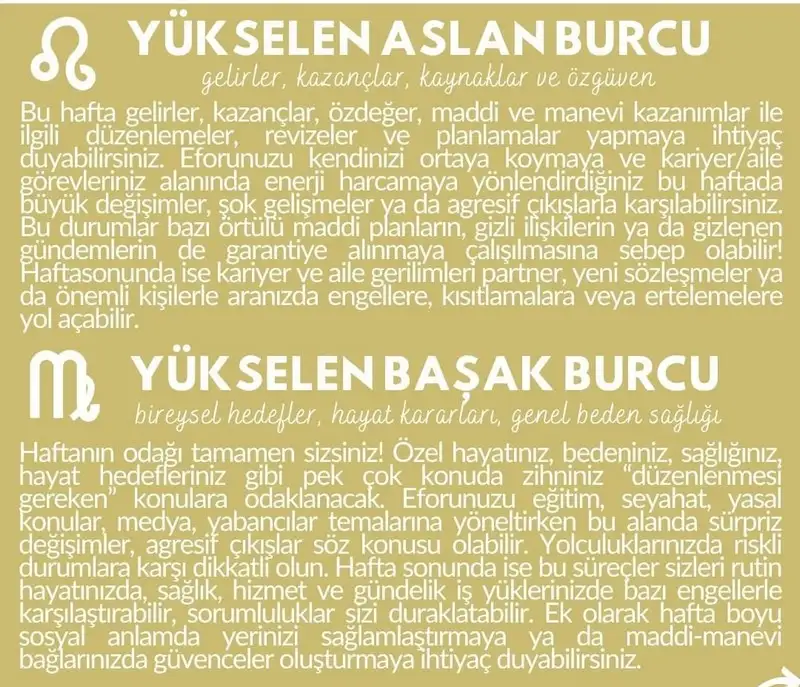 haft21 (4).webp