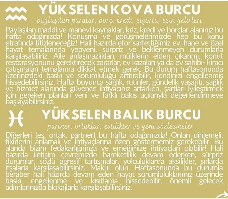 haft21 (7).webp