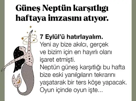 haft3 (1).webp
