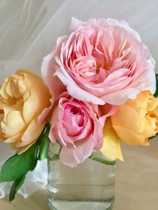 haft3 (5).webp
