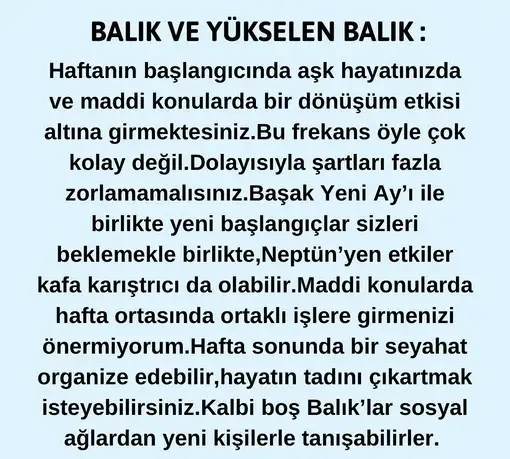 haft33 (13).webp