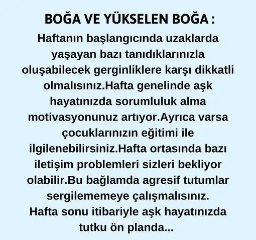 haft33 (3).webp