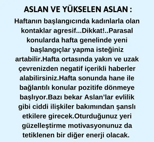 haft33 (6).webp