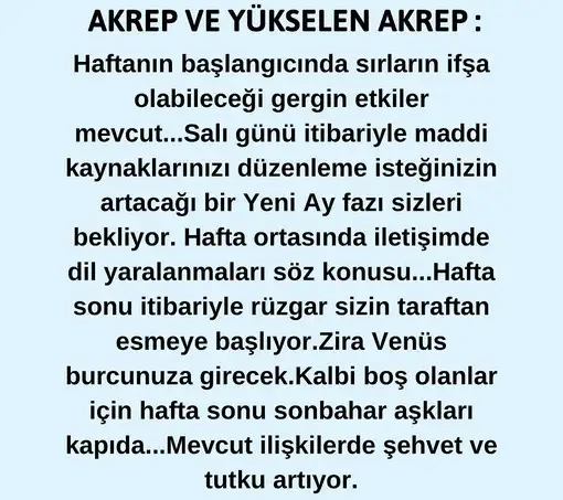 haft33 (9).webp