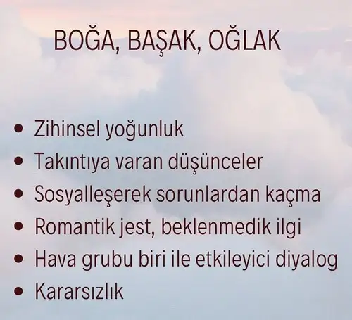 haft5 (2).webp