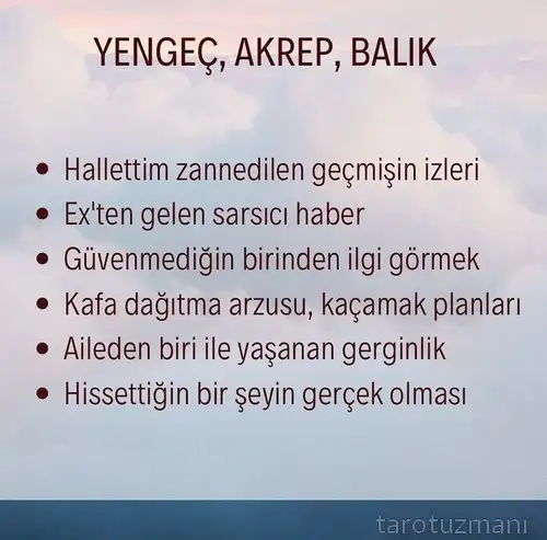 haft5 (4).webp