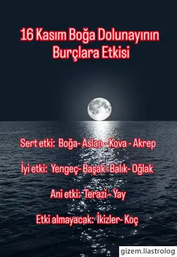 haftal (25).webp