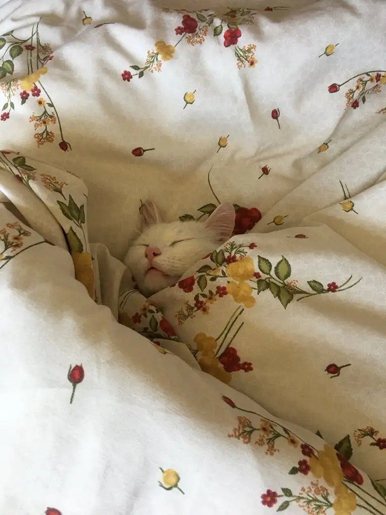 haftalık (1).webp