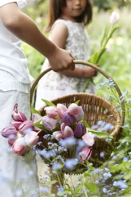 haftalık (4).webp