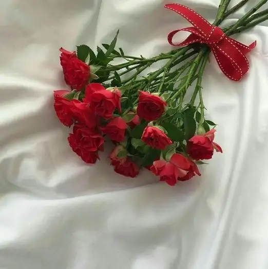 haftalık (8).webp