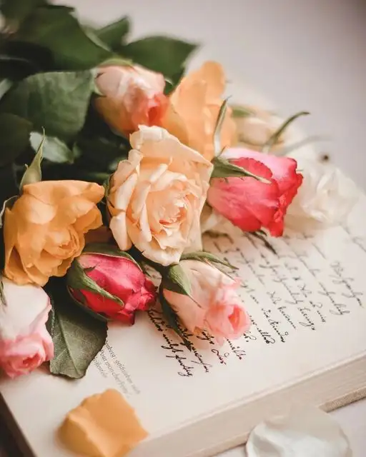 haftalık çiç (16).webp