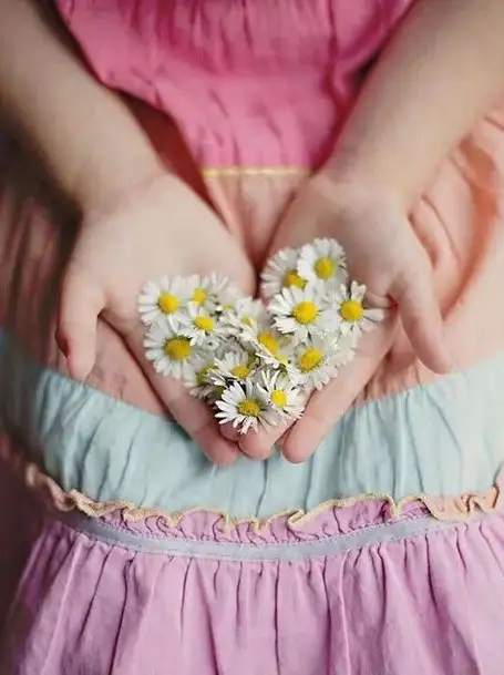 haftalık çiçek (3).webp