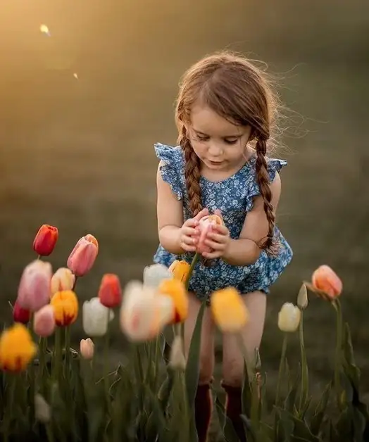 haftalık çiçek (5).webp