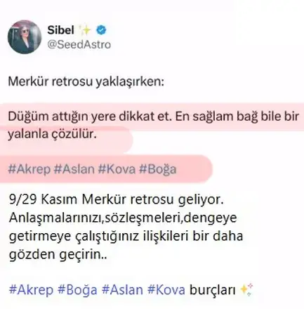 haftalık kedi (3).webp