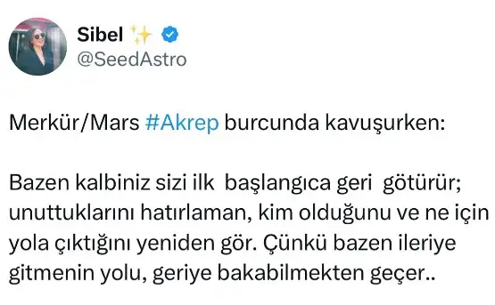 haftalık kedi (3).webp
