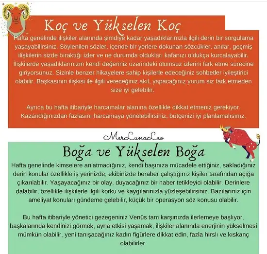 haftalık1 (2).webp