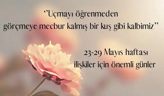 haftalık14 (1).webp