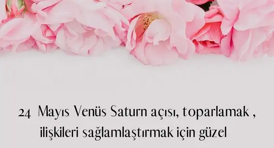 haftalık14 (2).webp