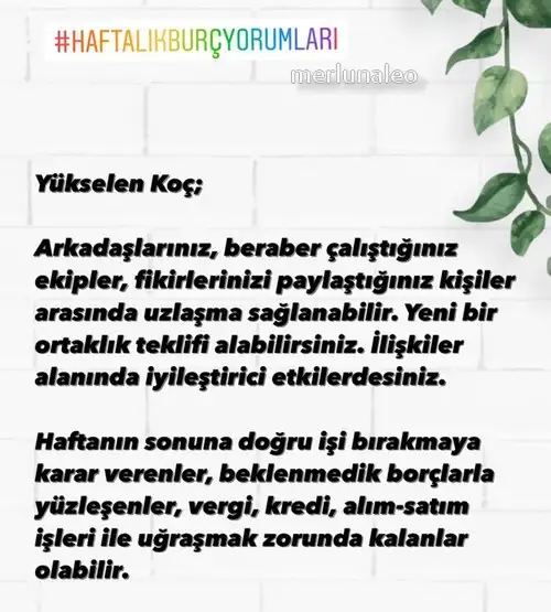 haftalık231 (1).webp