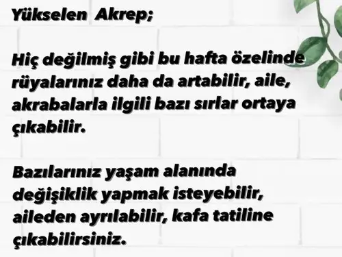 haftalık231 (8).webp