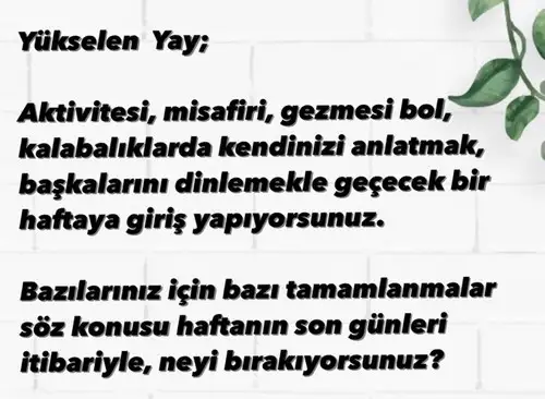 haftalık231 (9).webp