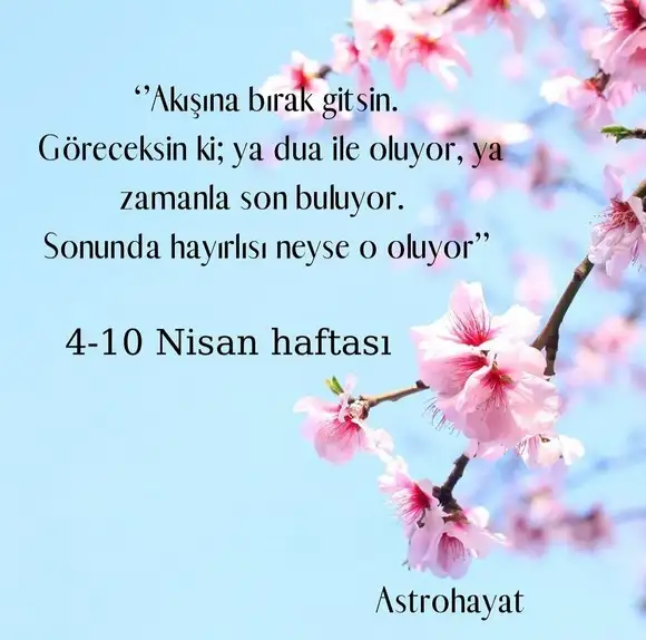 haftalık8 (1).webp